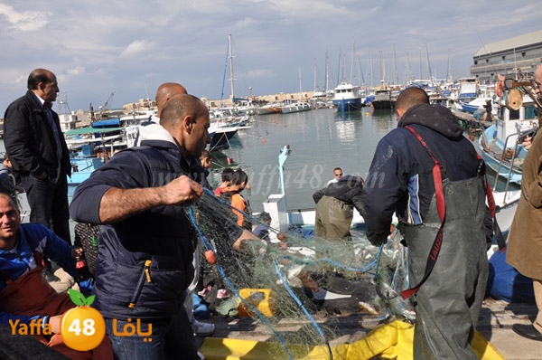 samak denisss (34).JPG